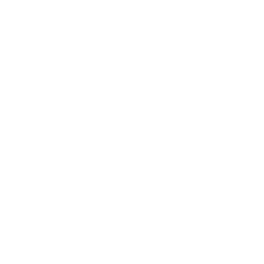 Xing Icon